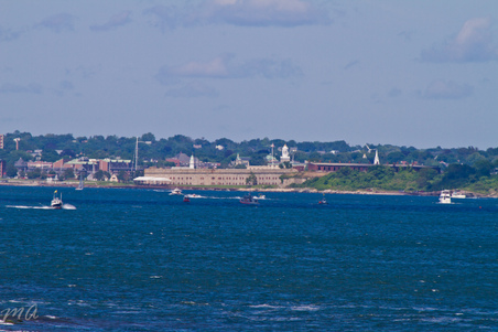 Enlarge photo 635