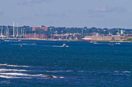 Enlarge photo 636
