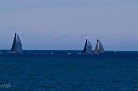 Enlarge photo 641