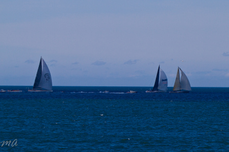 Enlarge photo 642