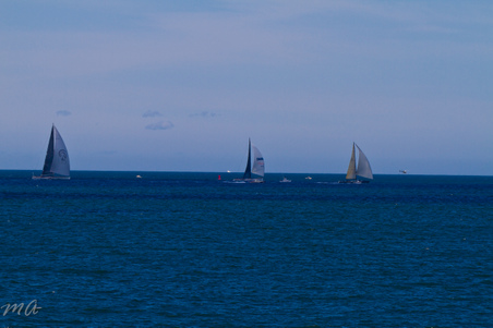 Enlarge photo 643