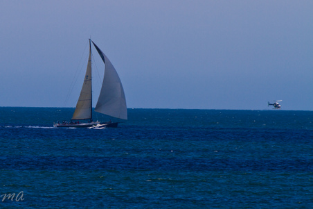 Enlarge photo 644