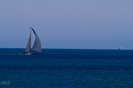 Enlarge photo 645