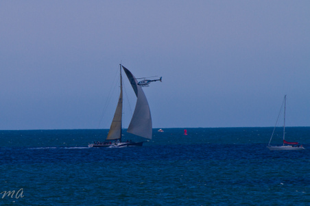 Enlarge photo 646