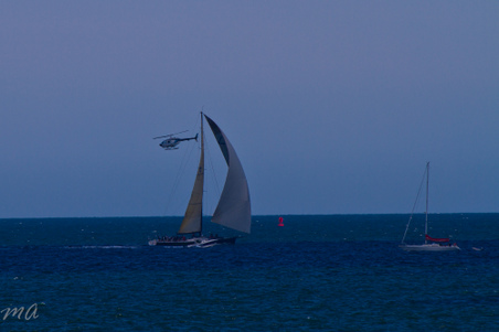 Enlarge photo 647