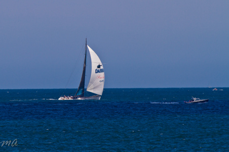 Enlarge photo 649