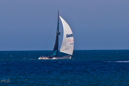 Enlarge photo 651
