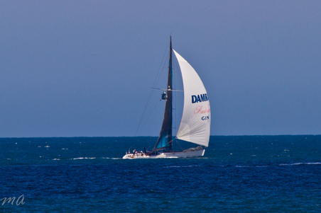Enlarge photo 652