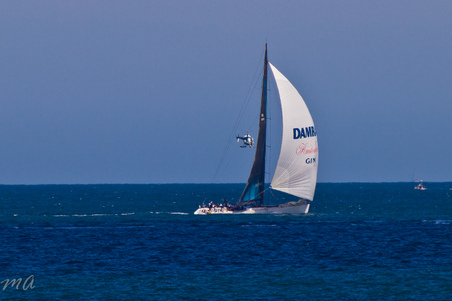 Enlarge photo 653