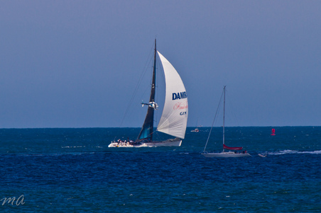 Enlarge photo 654