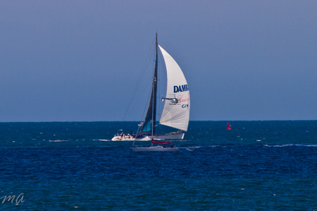 Enlarge photo 655
