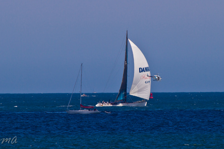 Enlarge photo 656