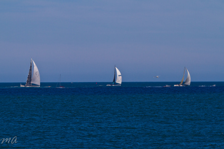 Enlarge photo 657