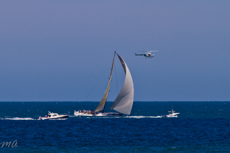 Enlarge photo 658