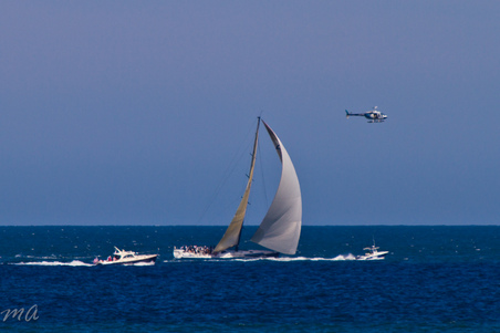 Enlarge photo 659