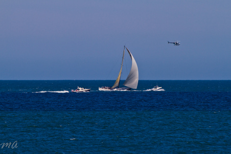 Enlarge photo 660