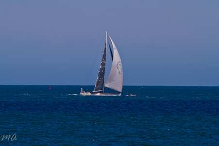 Enlarge photo 661