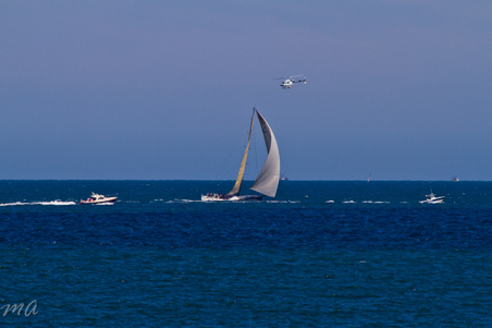 Enlarge photo 663