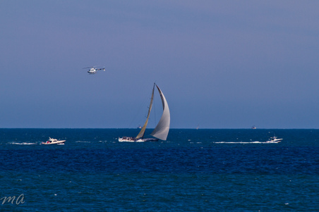 Enlarge photo 664