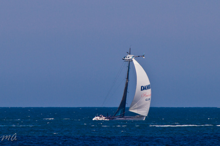 Enlarge photo 665