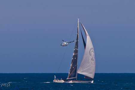 Enlarge photo 667