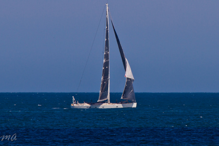 Enlarge photo 668