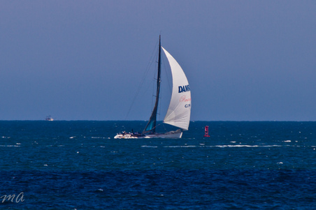 Enlarge photo 669