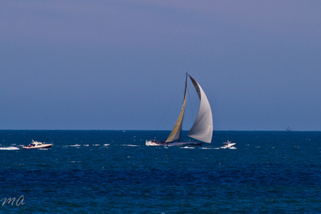 Enlarge photo 670