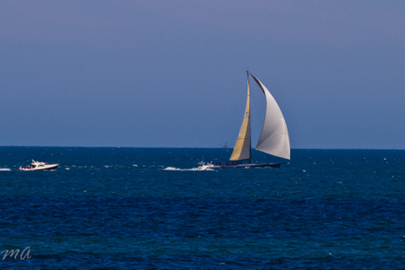 Enlarge photo 671