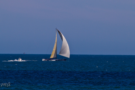 Enlarge photo 672