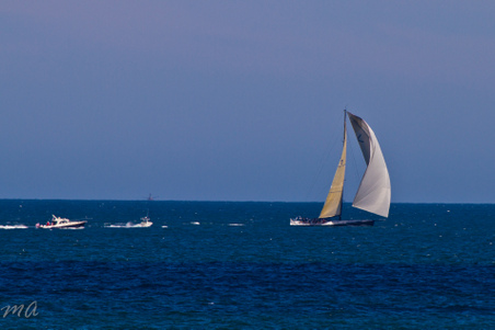 Enlarge photo 673