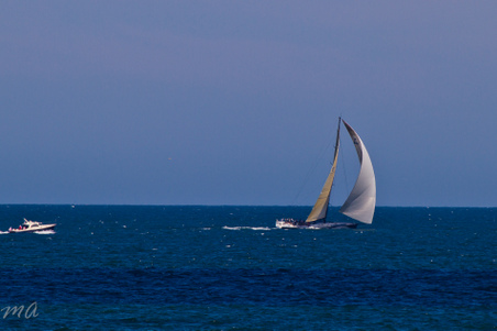 Enlarge photo 674