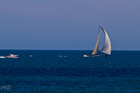 Enlarge photo 675