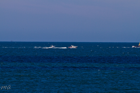 Enlarge photo 676
