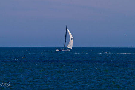 Enlarge photo 677