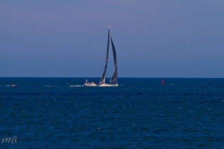 Enlarge photo 678