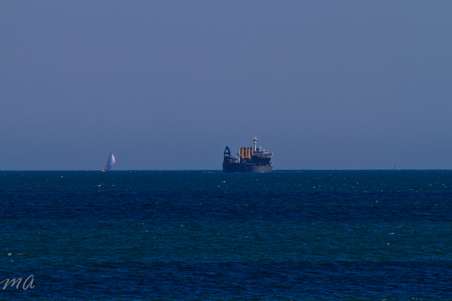 Enlarge photo 679