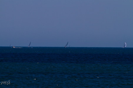 Enlarge photo 681