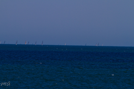 Enlarge photo 683