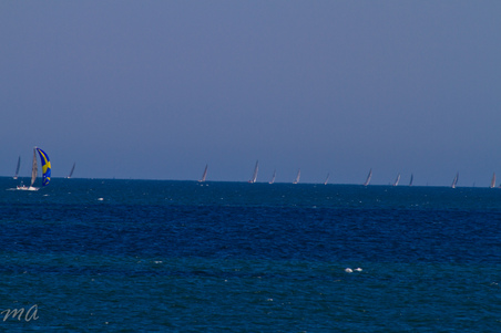 Enlarge photo 685
