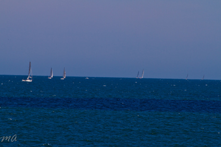 Enlarge photo 686
