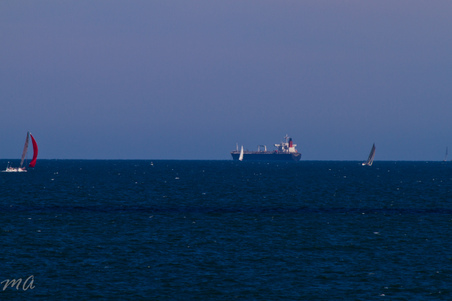 Enlarge photo 688