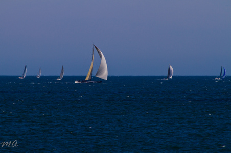 Enlarge photo 689