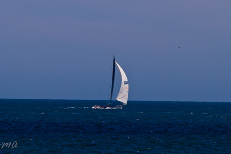 Enlarge photo 691