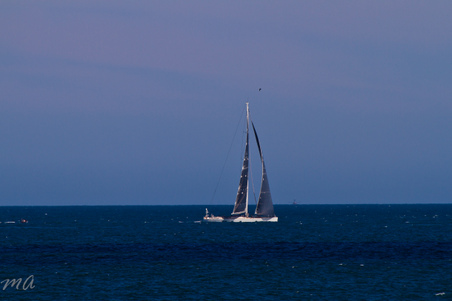 Enlarge photo 694
