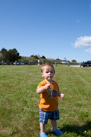 Enlarge photo 725