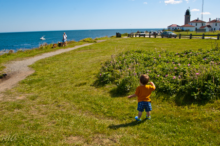 Enlarge photo 741
