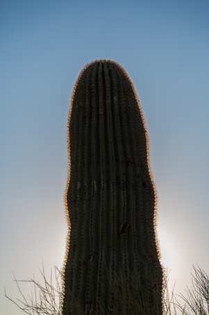 Enlarge photo 10