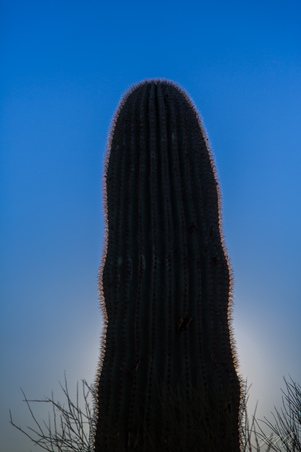 Enlarge photo 12