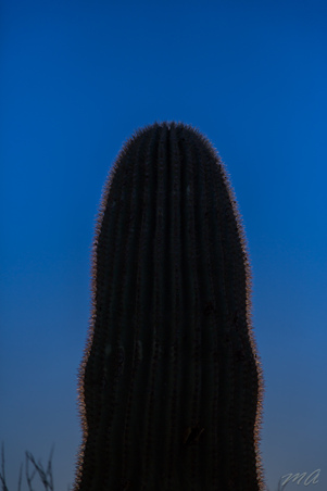Enlarge photo 13